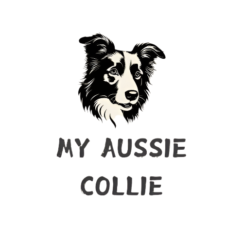 My Aussie Collie